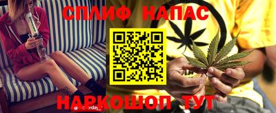 крисы Сланцы
