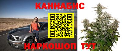 крисы Сланцы