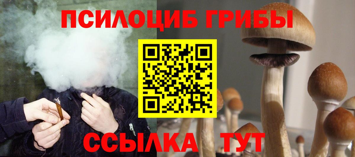Уссурийск  Псилоцибиновые грибы MAGIC MUSHROOMS  Вход с VPN 